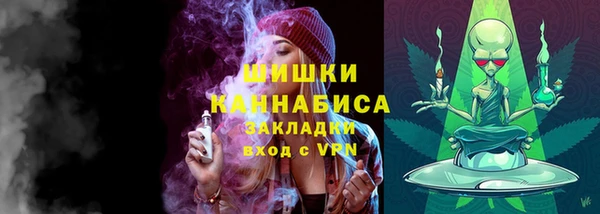 тгк Медногорск