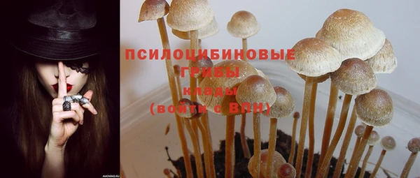 меф VHQ Гусев