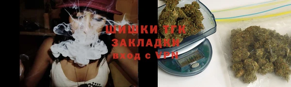 тгк Медногорск