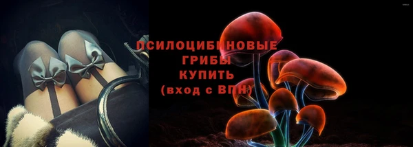 прущие крисы Дмитриев