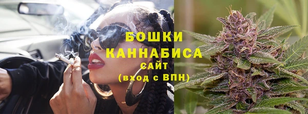 альфа пвп Медвежьегорск
