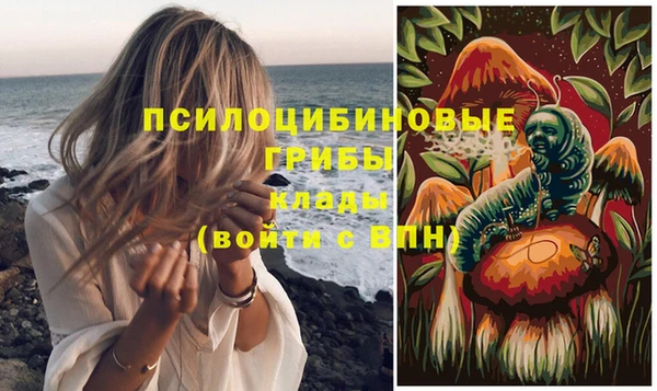 тгк Михайловка