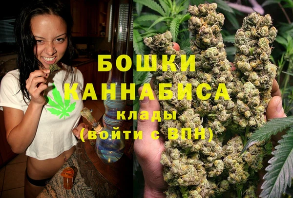 альфа пвп Медвежьегорск