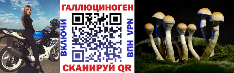 Галлюциногенные грибы Psilocybe  Воткинск 