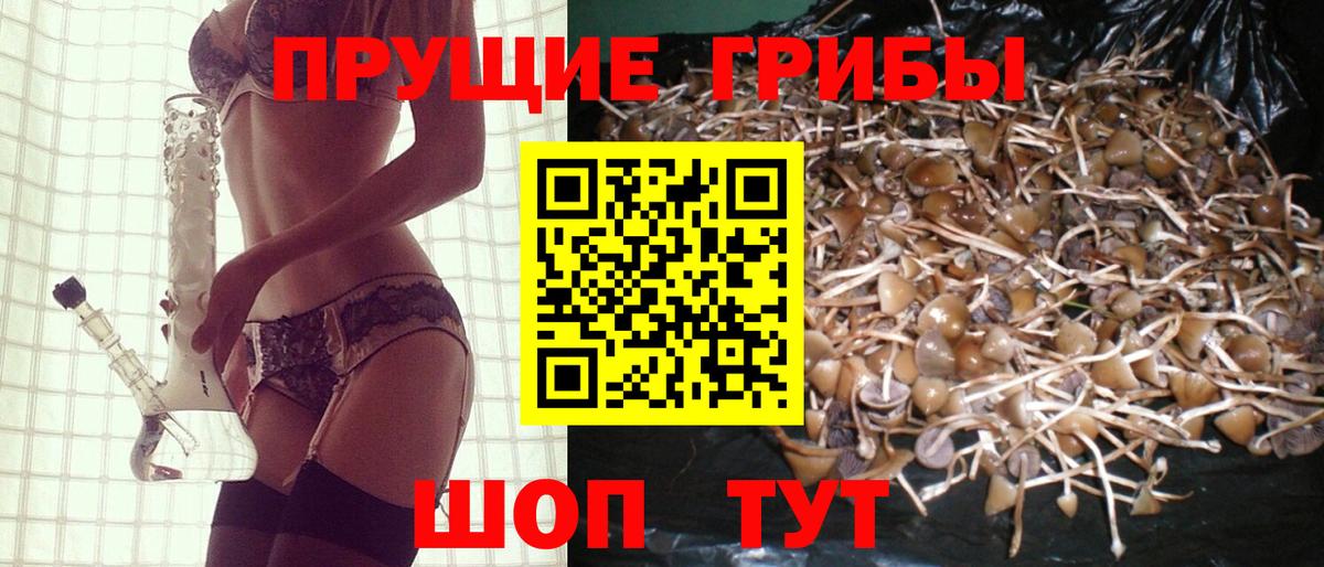 Галлюциногенные грибы Psilocybe Воткинск